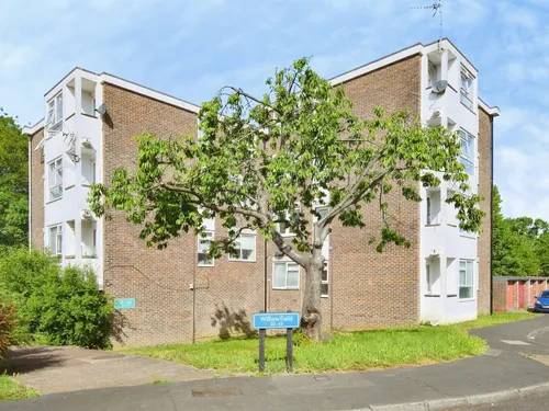 Willowfield, HARLOWphoto