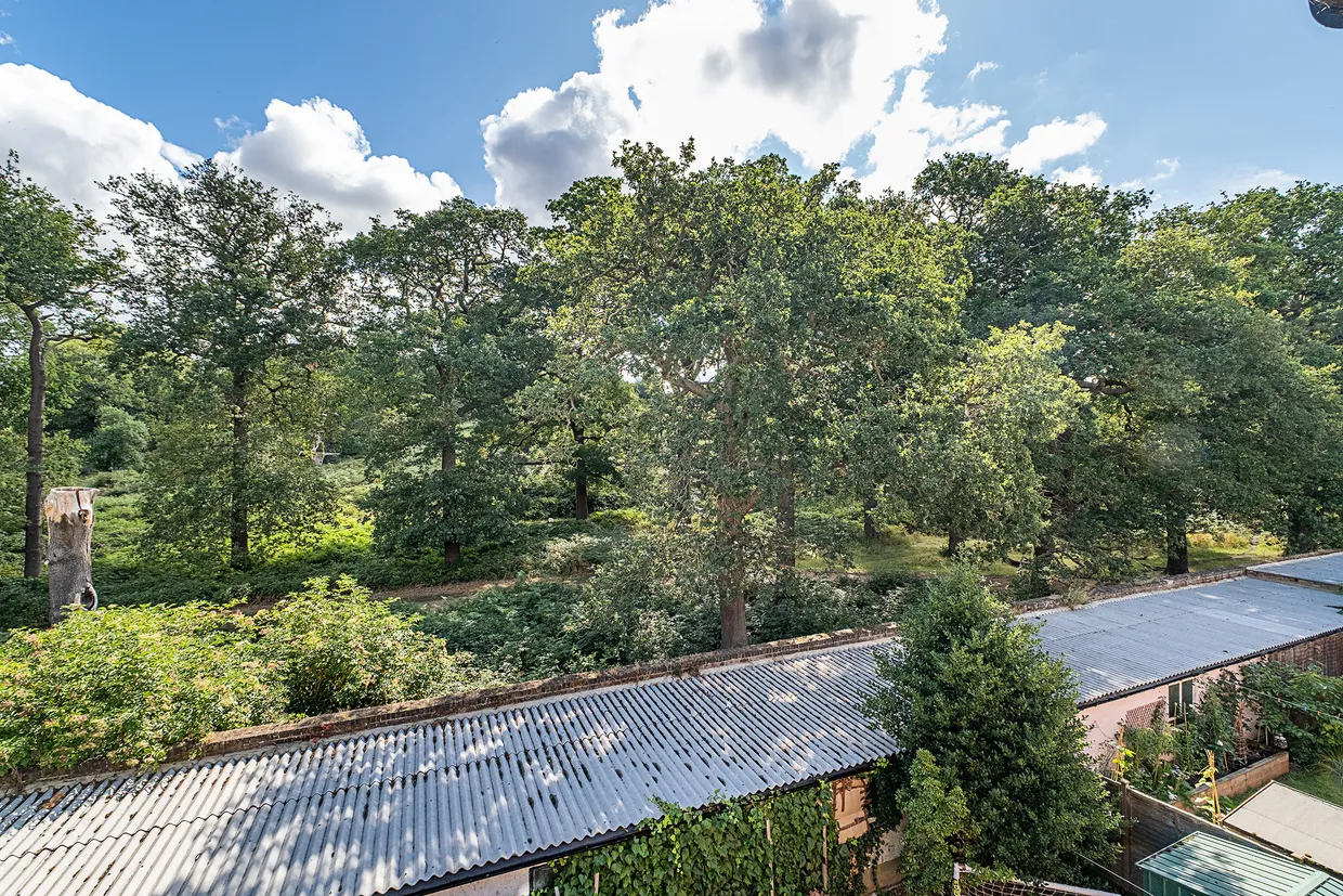 Wilmer Crescent, Kingston Upon Thames, KT2 photo 11