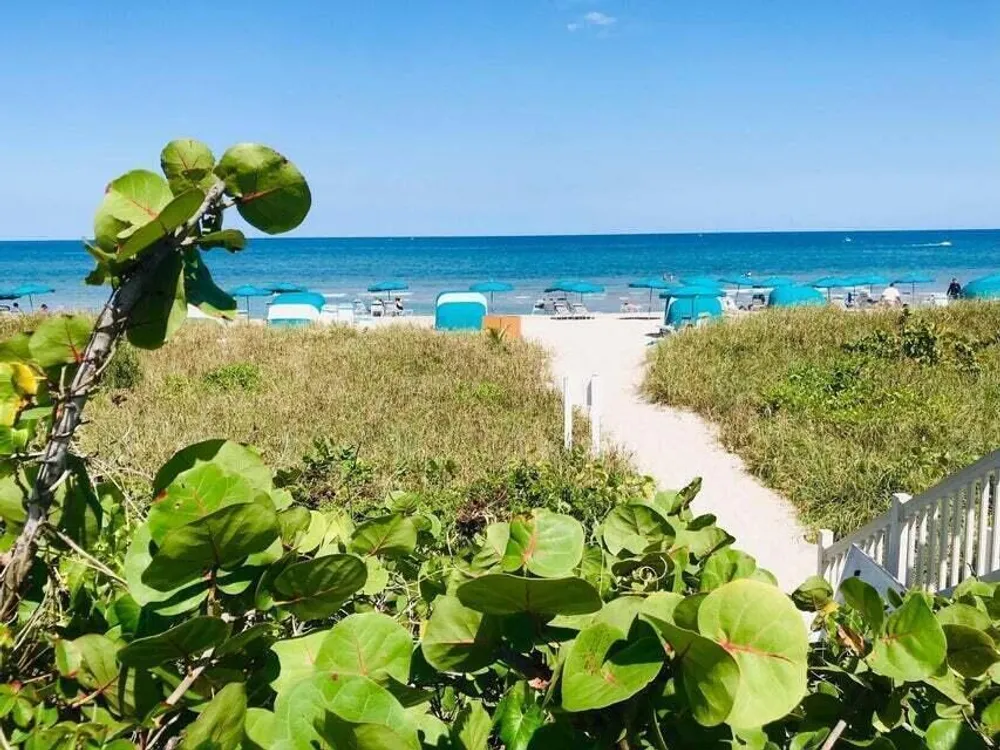 4201 N Ocean Blvd, Boca Raton, FL 33431