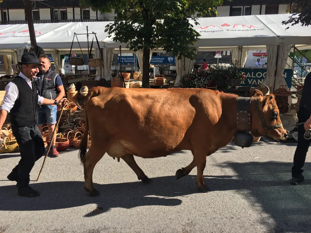 Pralognan-la-Vanoise, Savoie, France