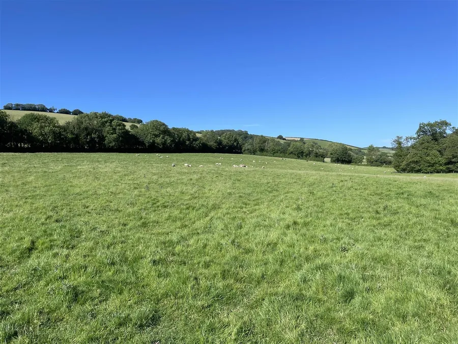 Property Image 43