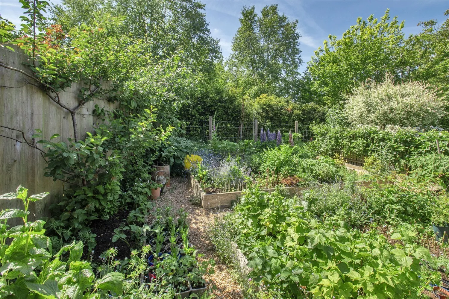 Vere Meadows, Benenden, TN17 photo 16