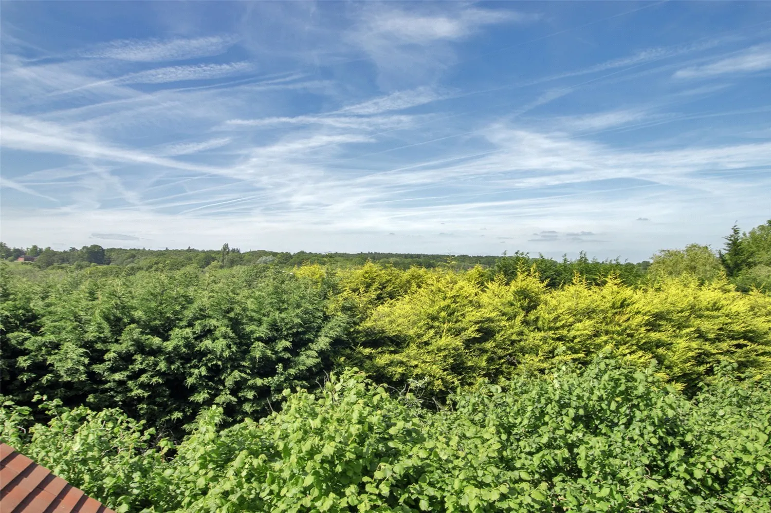 Vere Meadows, Benenden, TN17 photo 17