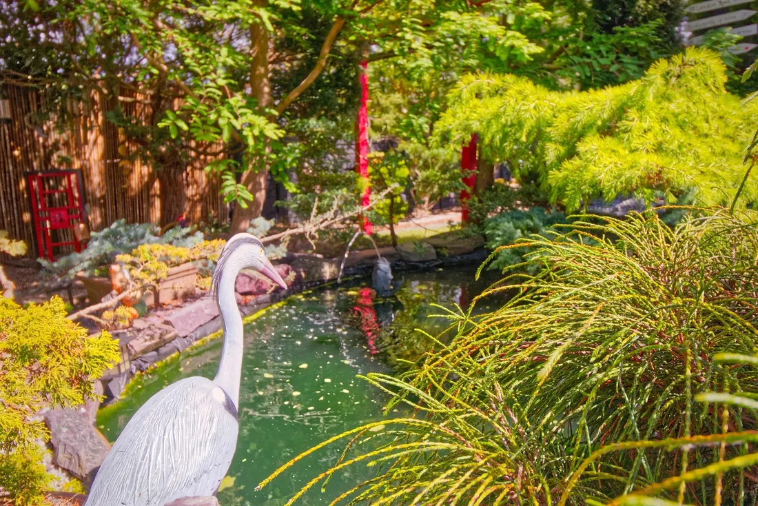 Property photo 16