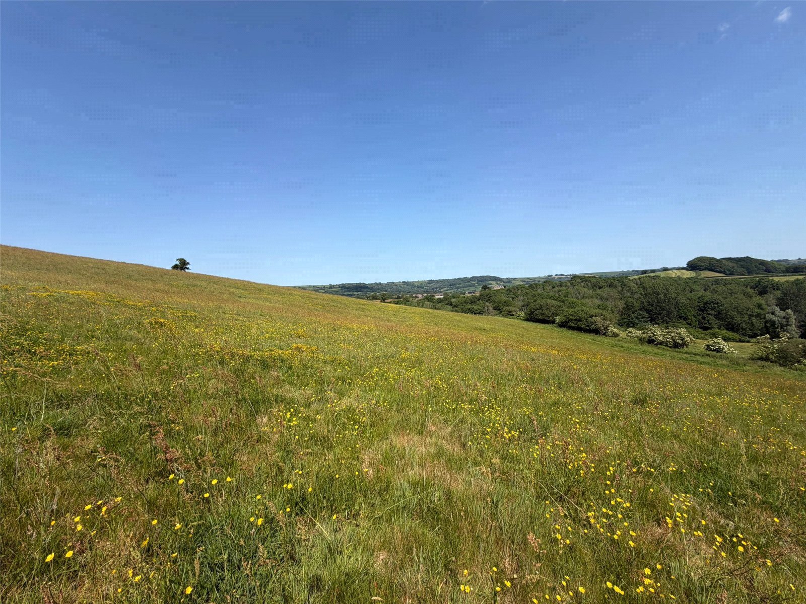 Beaminster, Dorset, DT8