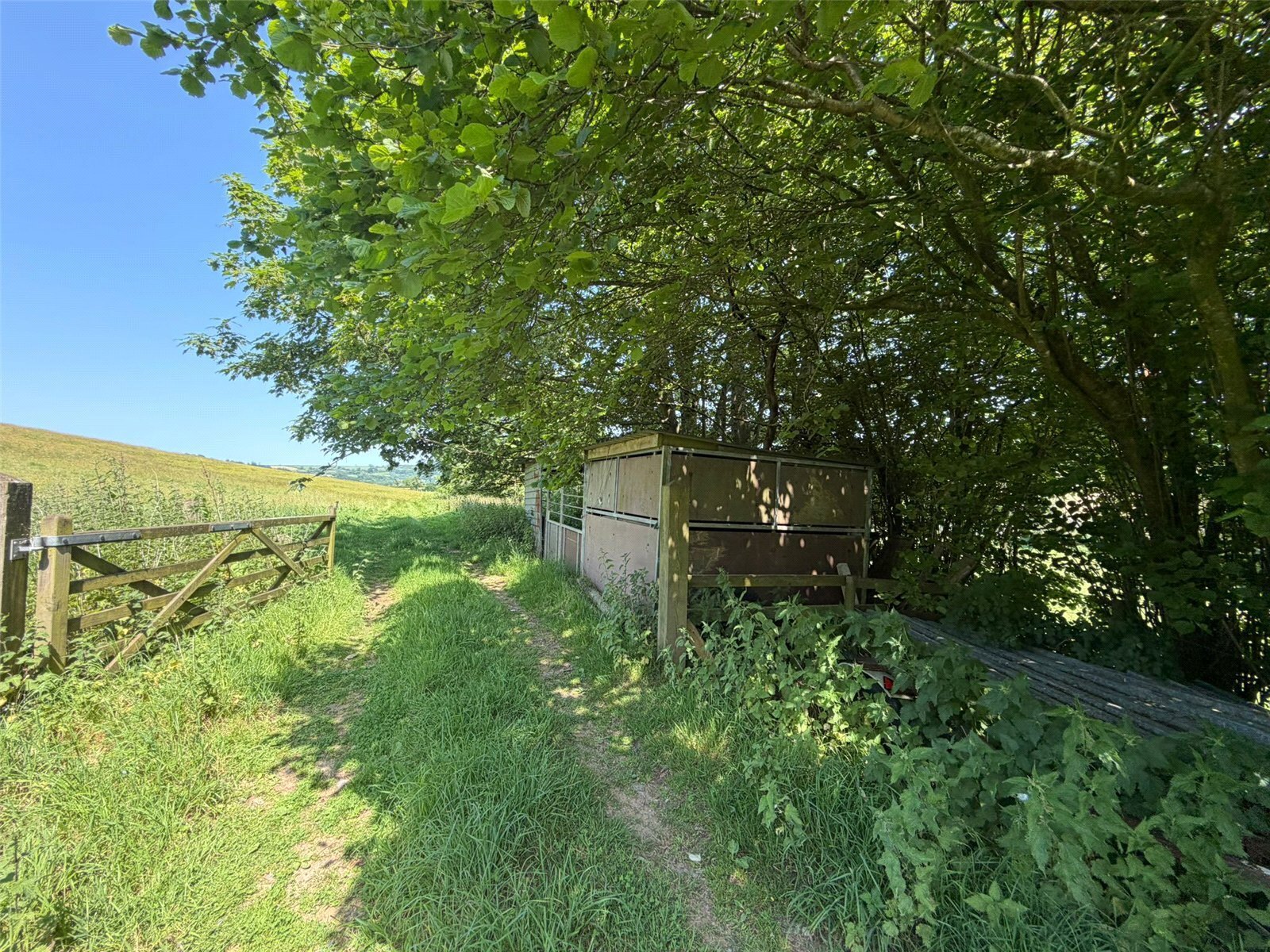 Beaminster, Dorset, DT8