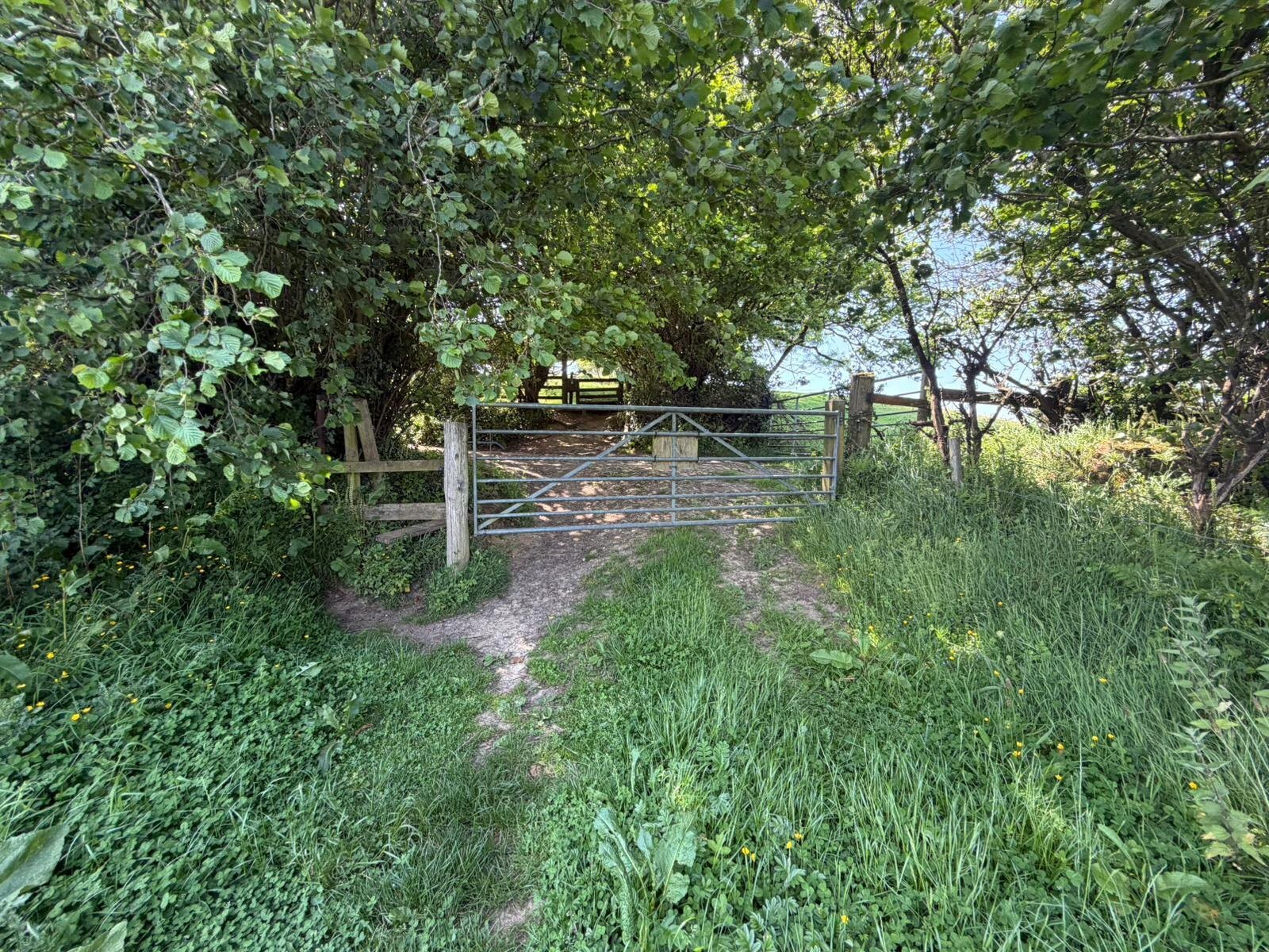 Beaminster, Dorset, DT8