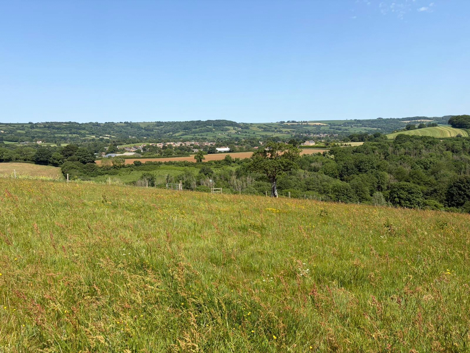 Beaminster, Dorset, DT8
