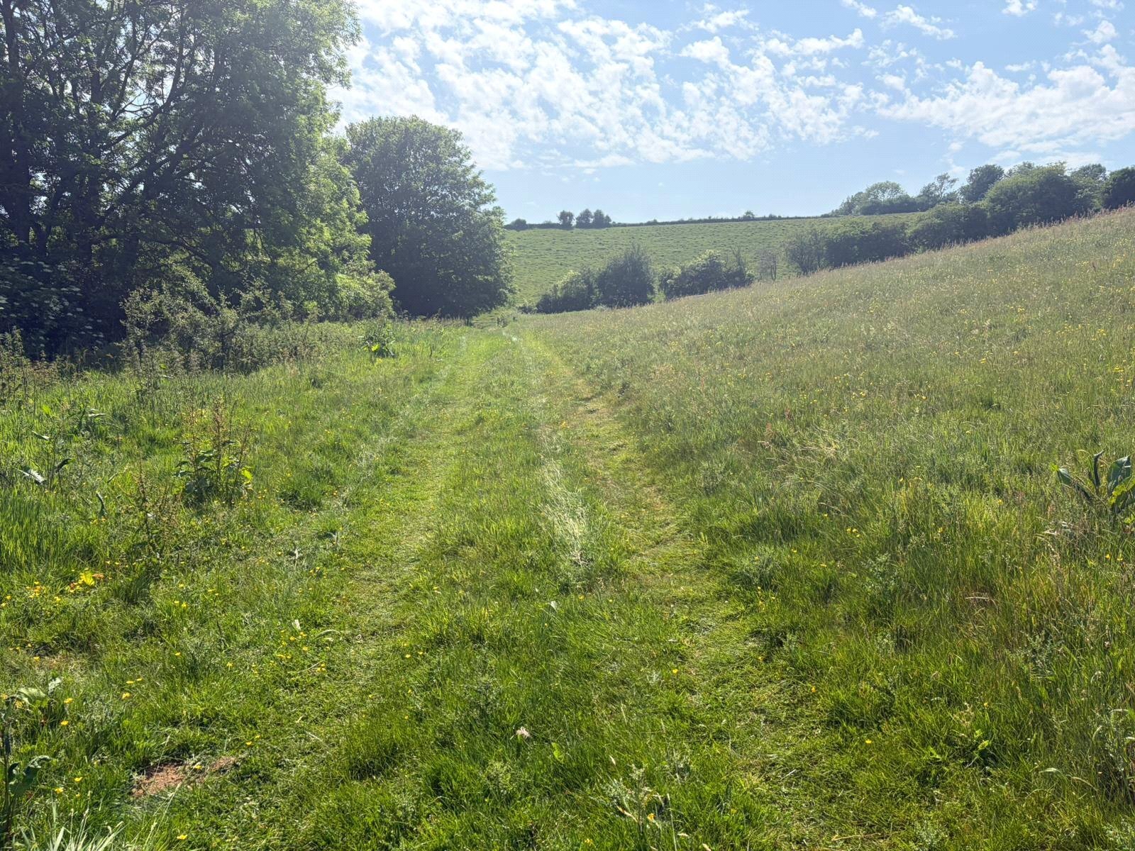 Beaminster, Dorset, DT8