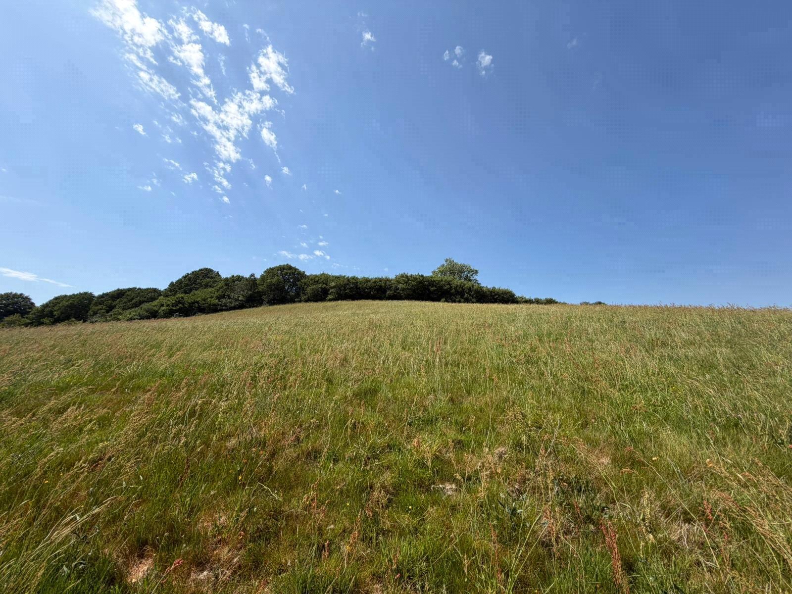 Beaminster, Dorset, DT8