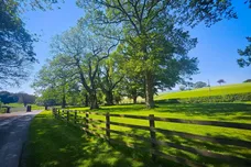 Gwysaney, Rhosesmor, MOLD