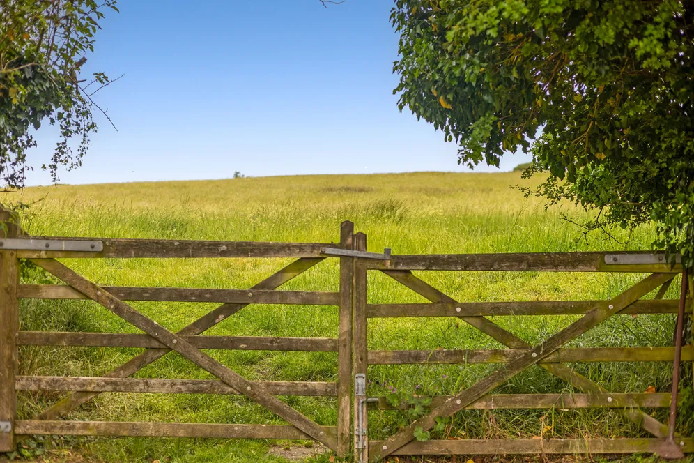 Broad Chalke, Salisbury, SP5 photo 14