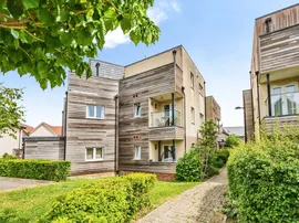 Sunflower Lane, Polegate photo