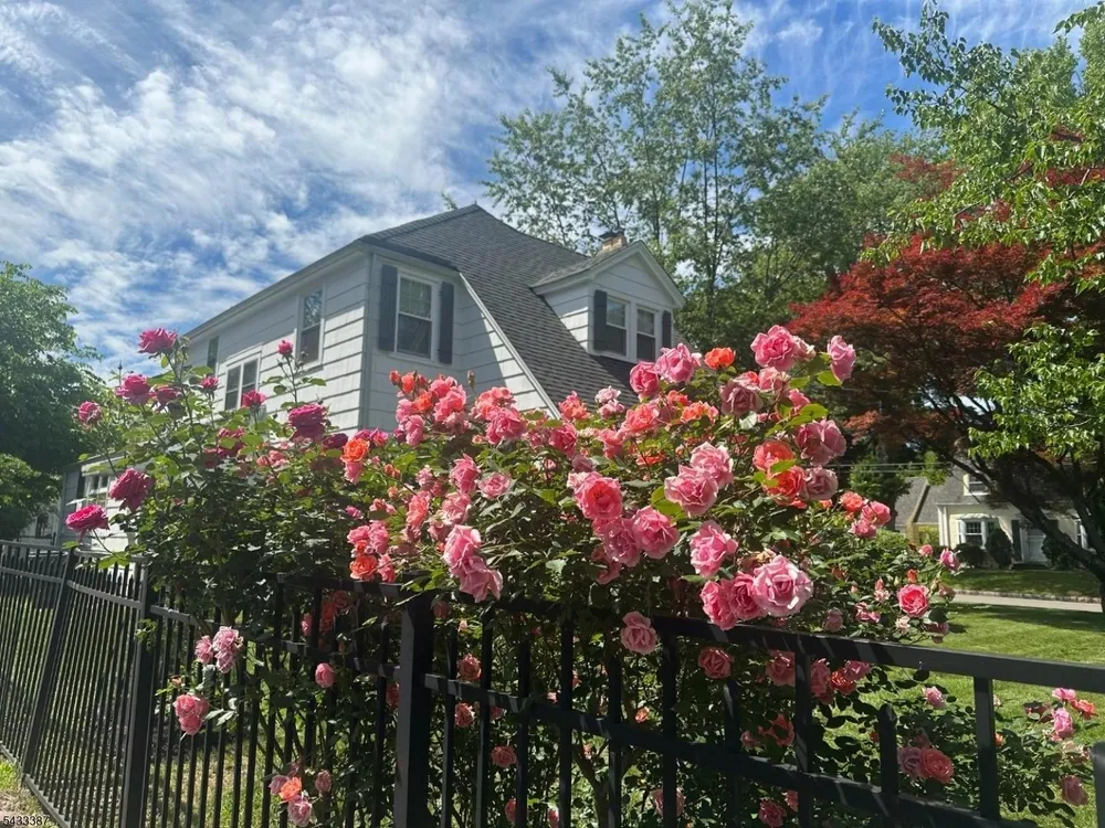 128 Meisel Ave, Springfield, NJ 07081