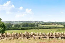 Daisy Lane, Wotton-Under-Edge, GL12 photo 24