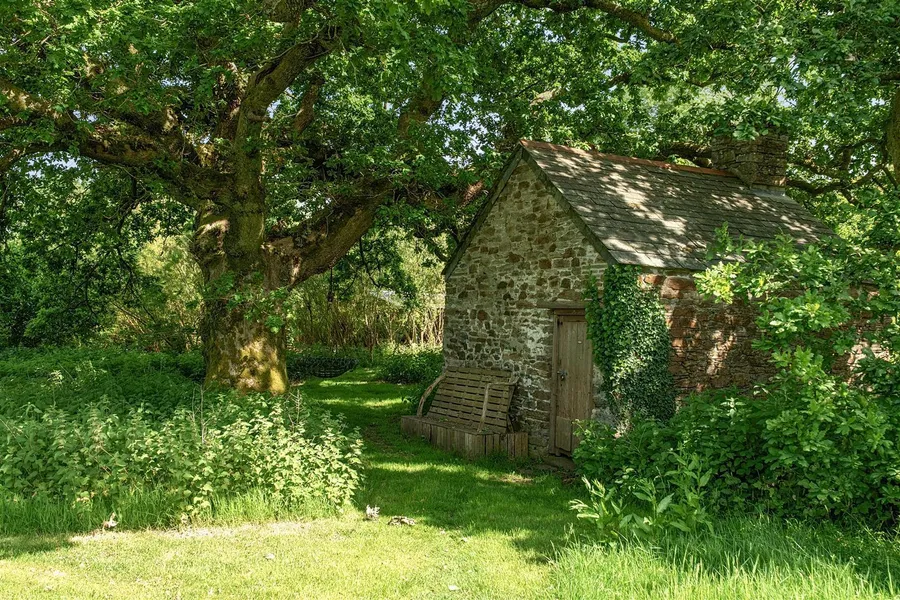 Property Image 45