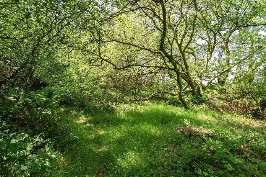 Property Image 47