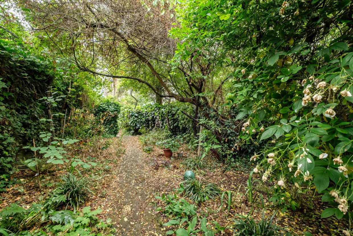 Canonbury Square, London, N1 photo 3