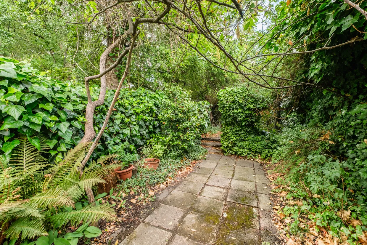 Canonbury Square, London, N1 photo 25