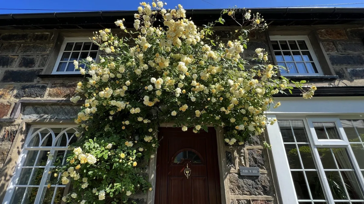 Club Street, Beddgelert, Gwynedd, LL55