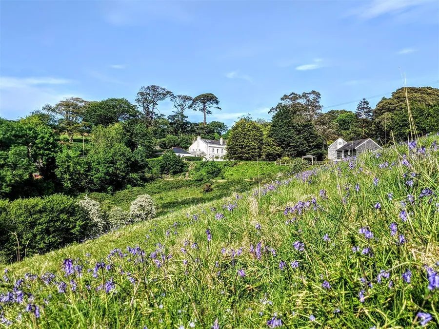 Property Image 33