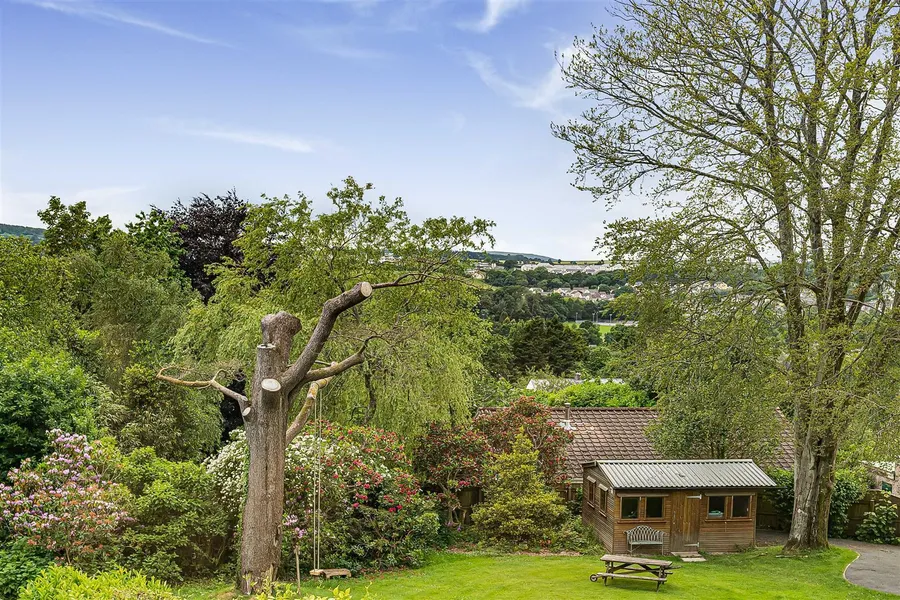 Property Image 26
