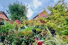 Mardale Gardens, Peterborough