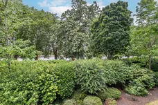 Samuel Gray Gardens, Kingston Upon Thames, KT2 photo 20