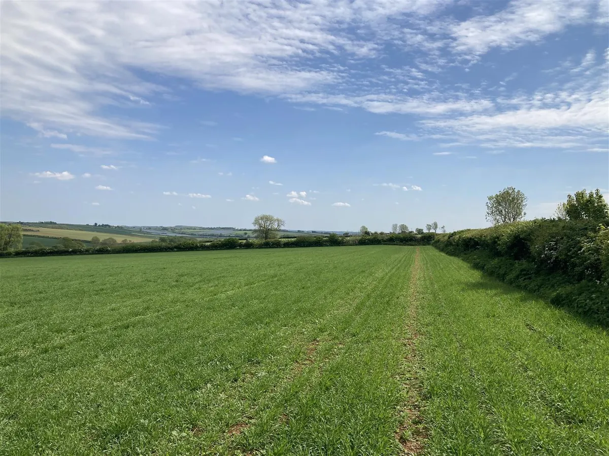 Arable Land at Bisbrooke, Rutland - about 5.63 acres