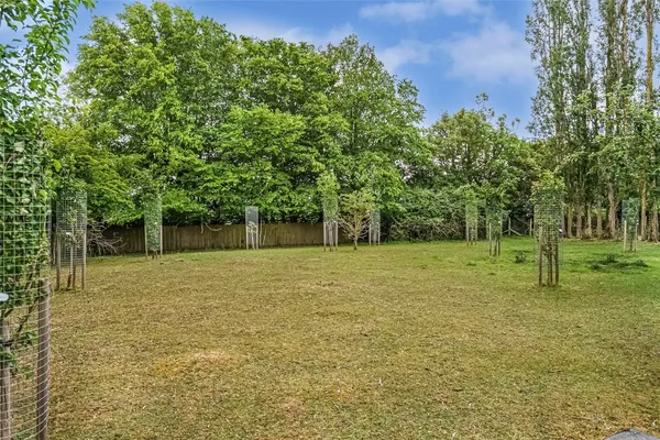 Belchamp Walter Road, Borley, CO10 photo 23