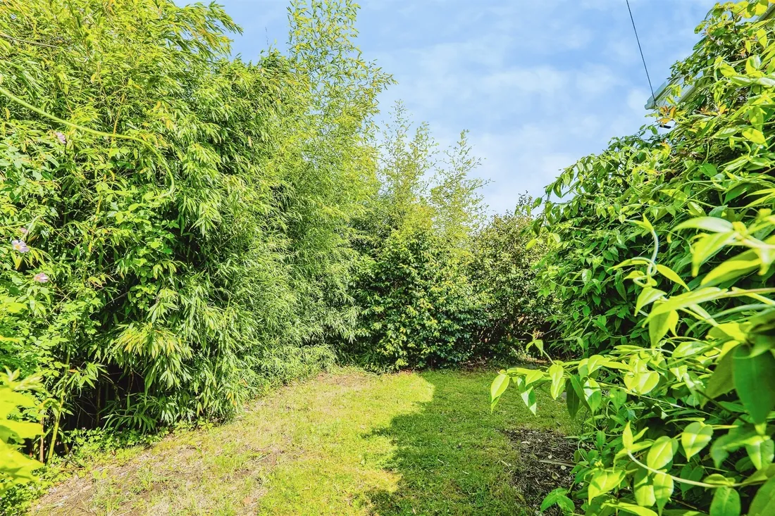 Property photo 31