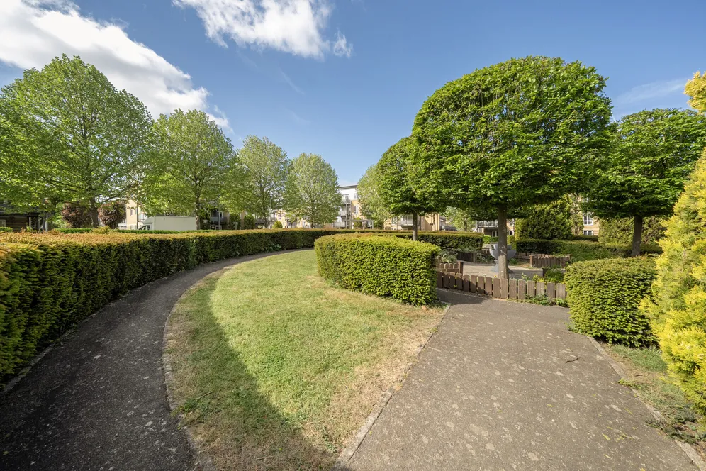 Linden Avenue, Watford, WD18 photo 13