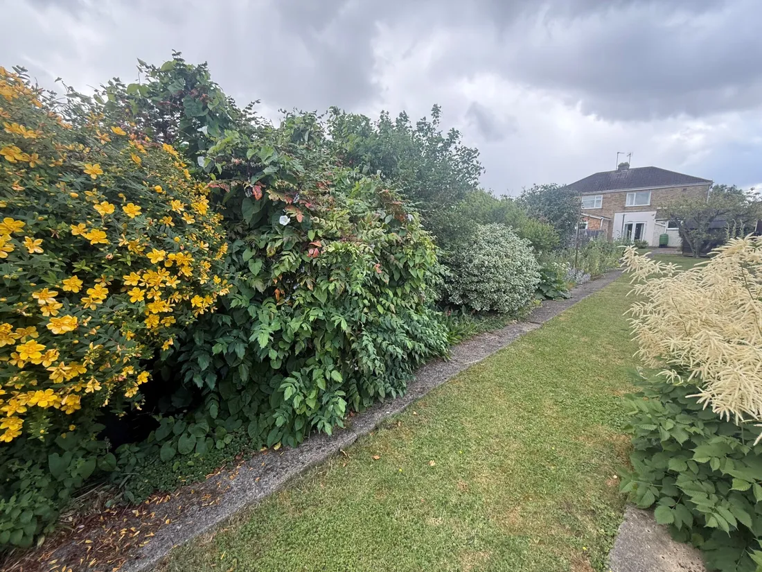 Property photo 13