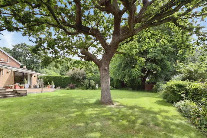 Property carousel image 39