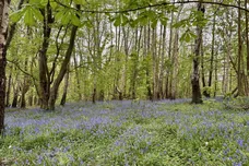East Grinstead Road, North Chailey, Lewes