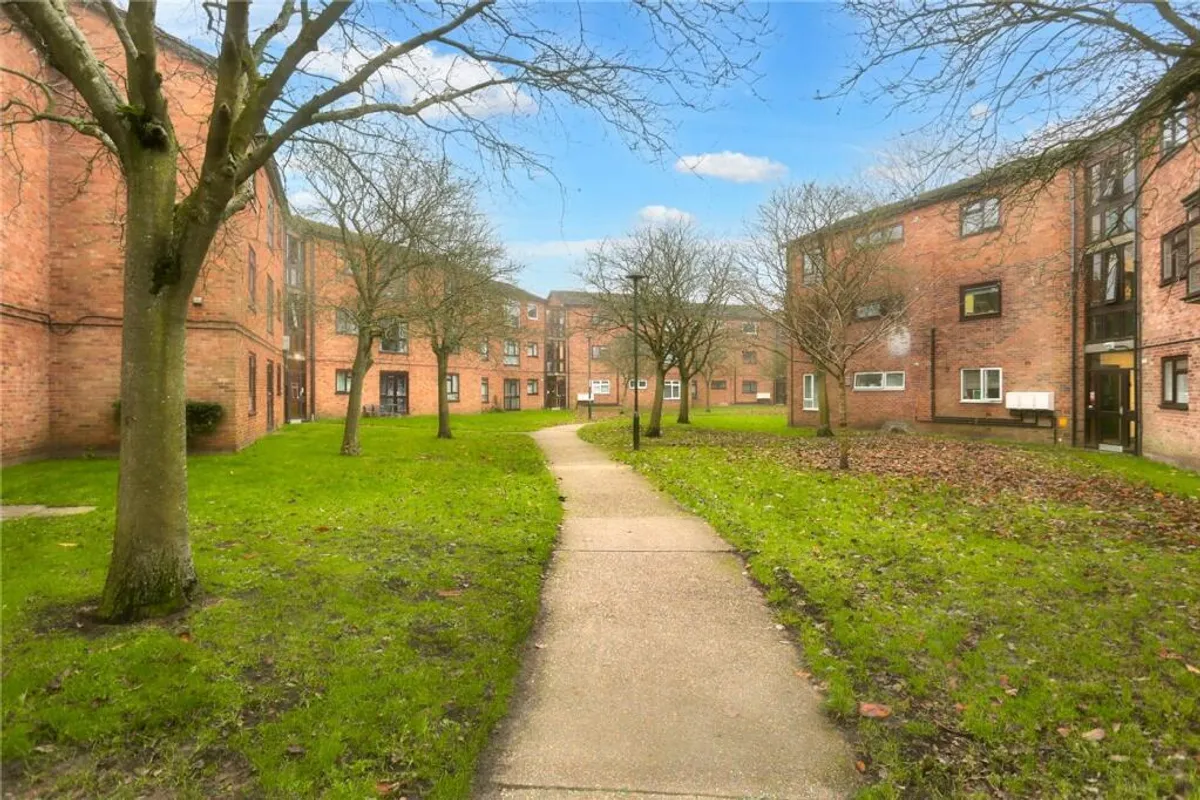 Pippin Green, NORWICH
