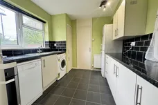 Pippin Green, NORWICH