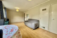 Pippin Green, NORWICH
