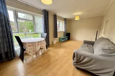 Pippin Green, NORWICH
