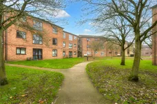 Pippin Green, NORWICH