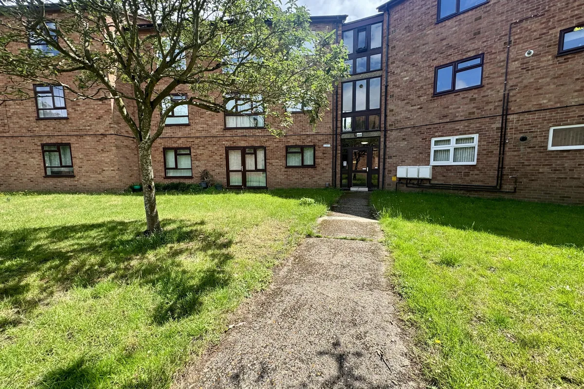 Pippin Green, NORWICH