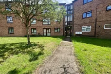 Pippin Green, NORWICH