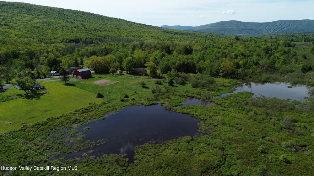 769 Mitchell Hollow Rd, Windham, NY 12496