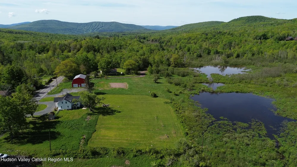 769 Mitchell Hollow Rd, Windham, NY 12496