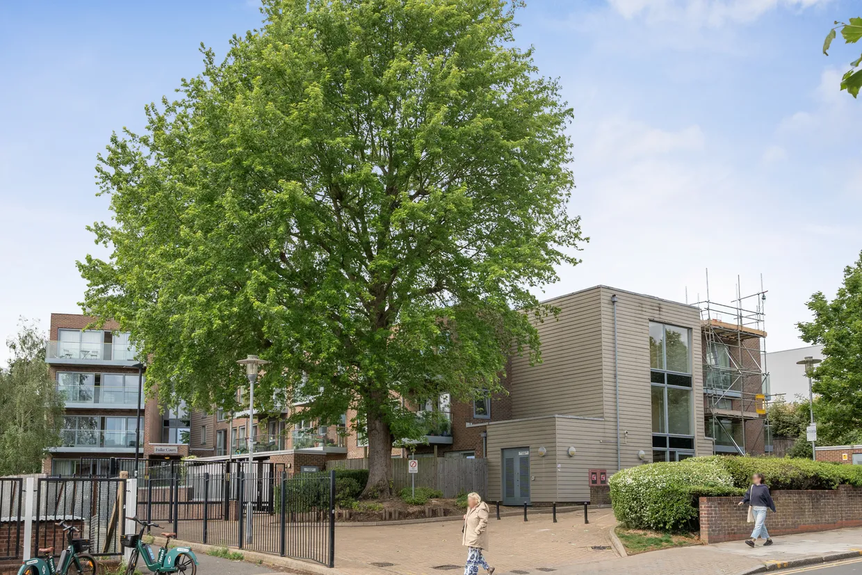 Park Road, London, N8 photo 14
