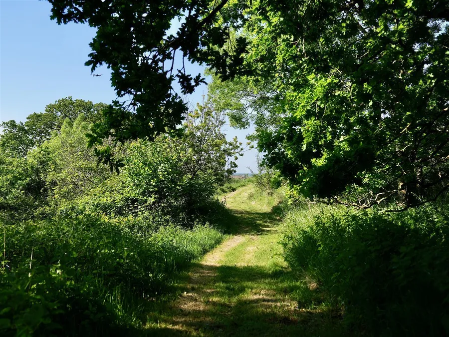 Property Image 18