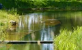 Property image gallery