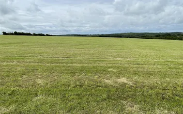 Petrockstowe, Okehampton