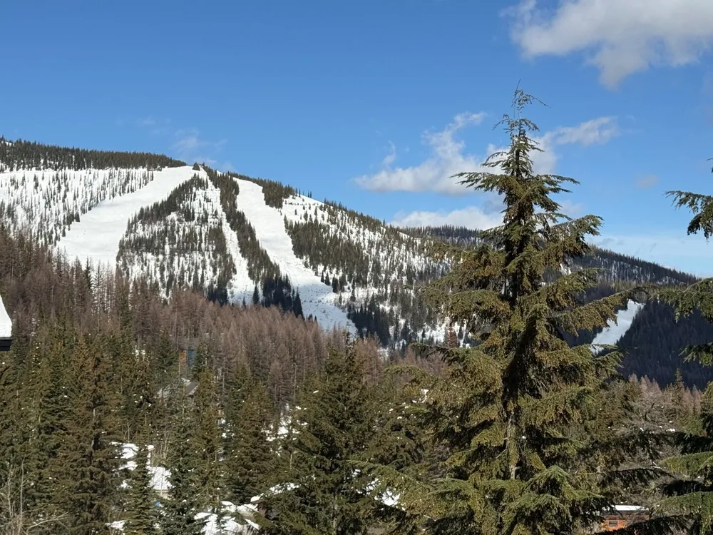 Highway 95, Sandpoint, ID 83864