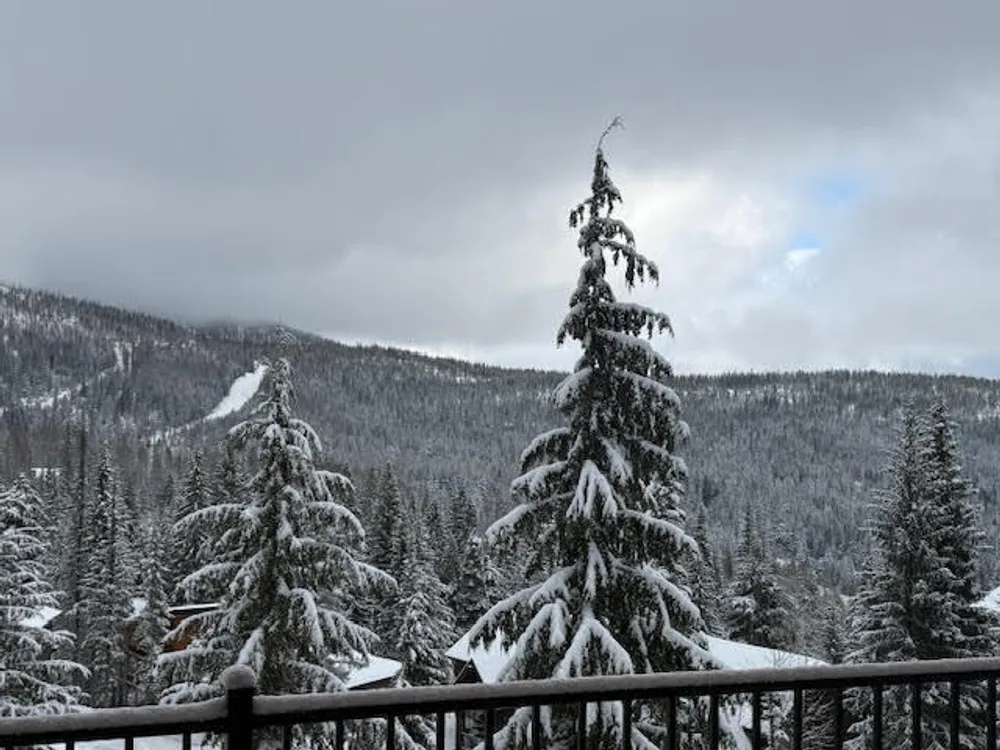 Highway 95, Sandpoint, ID 83864